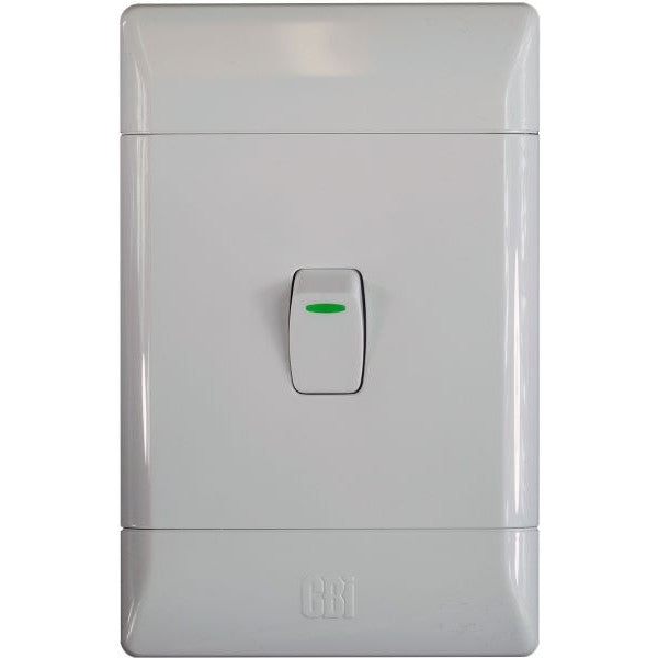 P/P CBI 1L 2W SWITCH+PL 4X2