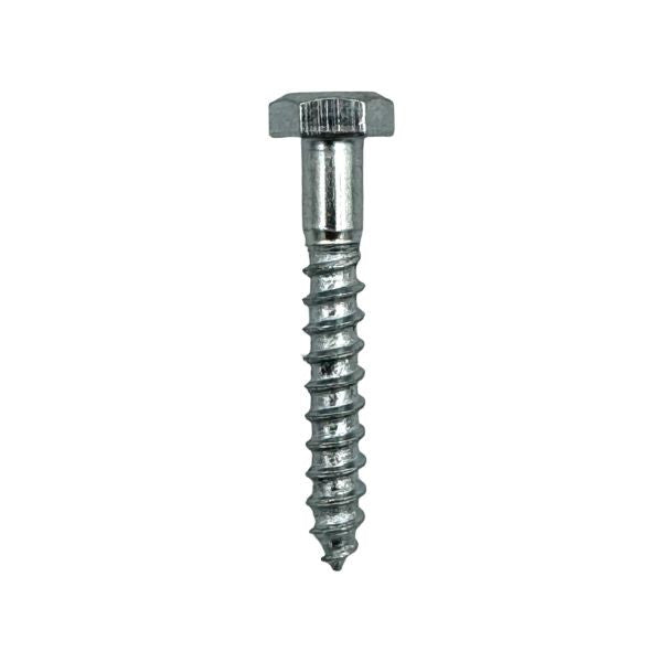 LOOSE COACH SCREWS HEX 100 (USE 7MM DRILL BIT)