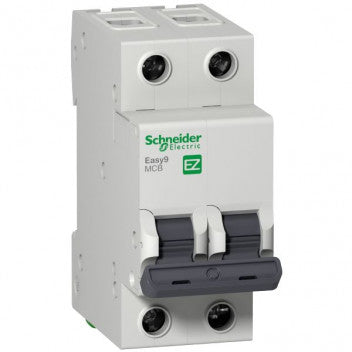 C60A 3KA 2 POLE C-CURVE SCHNEIDER
