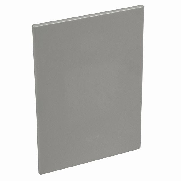 ARTEOR (MAGNESIUM)  4X2 BLANK  PLATE 571452